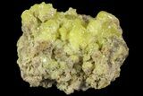Sulfur Crystal Cluster on Matrix - Nevada #69152-1